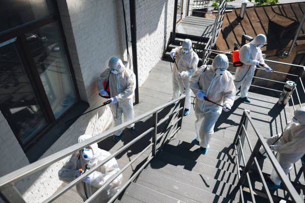 Best Mold Prevention Services  in Mount Pleasant, UT