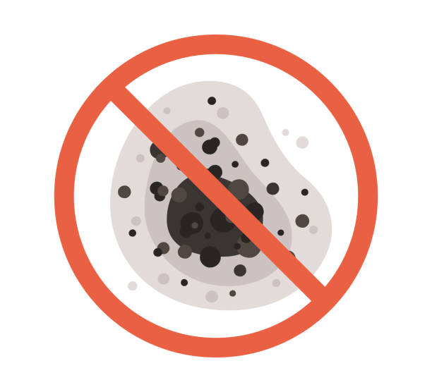 Best Mold Odor Removal Services  in Mount Pleasant, UT