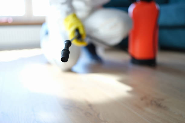 Forensic Mold Investigation in Mount Pleasant, UT