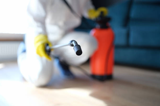 Trusted Mount Pleasant, UT Mold Removal Experts