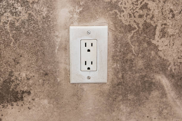 Best Emergency Mold Remediation  in Mount Pleasant, UT